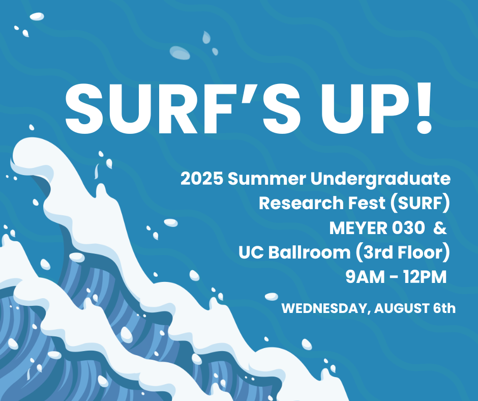 SURF 2025!